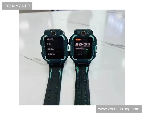 Z6用现用现版本的常见问题解答与技术支持联系方式详解